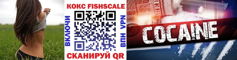 Cocaine FishScale сколько стоит hydra сайт Чкаловск
