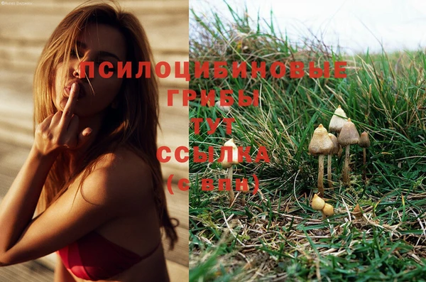 метамфетамин Абаза