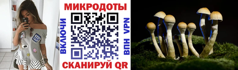 Галлюциногенные грибы мухоморы  как найти   Чкаловск 