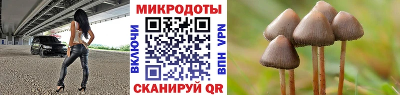 Псилоцибиновые грибы мицелий Чкаловск